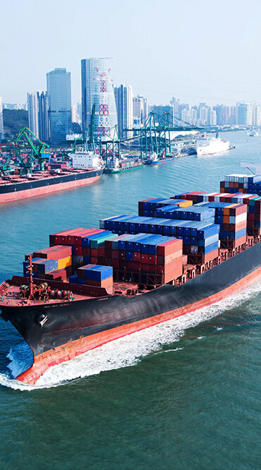 Ag trading, trading, kargo, cargo, logistic, logistic, Freight, air, road, warehouse, sea, rail freight